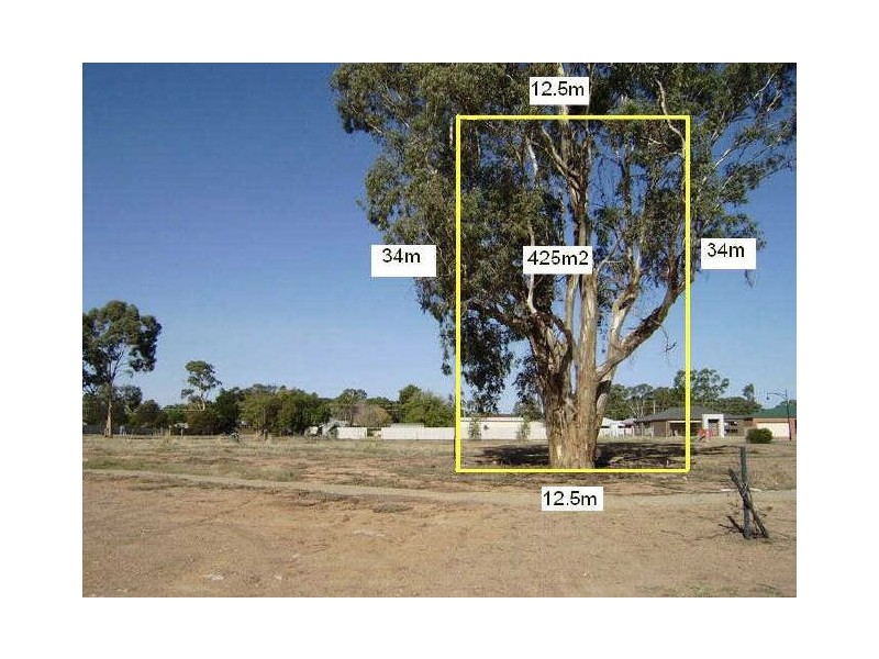 3 Bushwalk Grove, Epsom VIC 3551