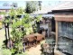 1 Silverfox Court, Strathdale VIC 3550