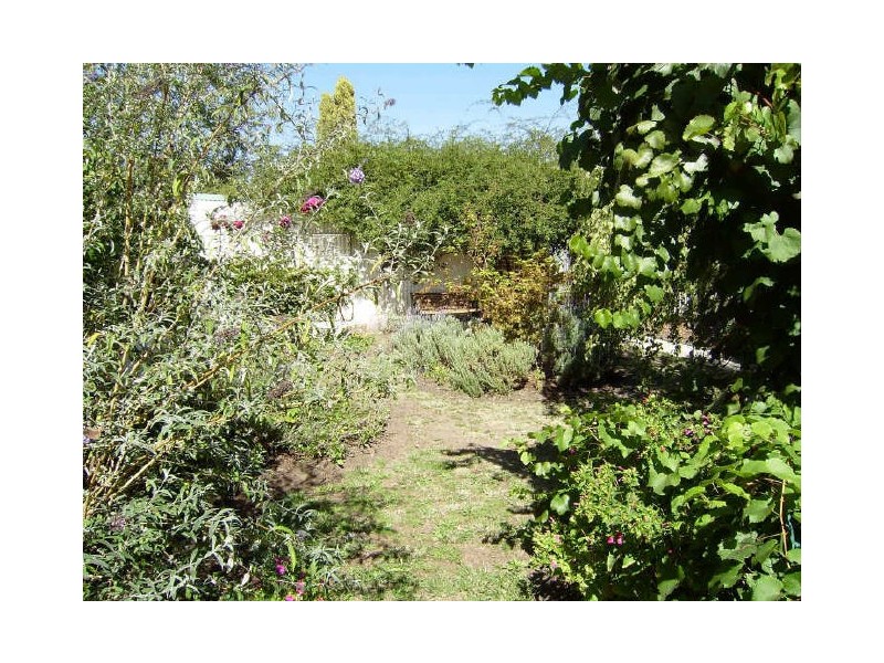 15 Palmerston Street, Quarry Hill VIC 3550