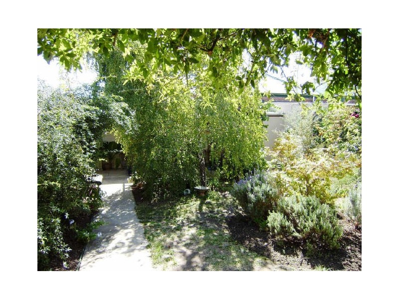 15 Palmerston Street, Quarry Hill VIC 3550