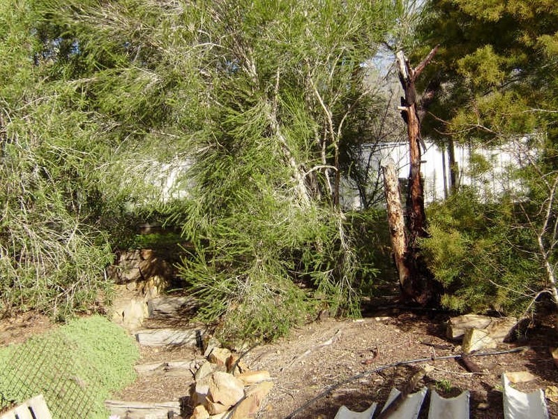 11 Proud Terrace, Flora Hill VIC 3550