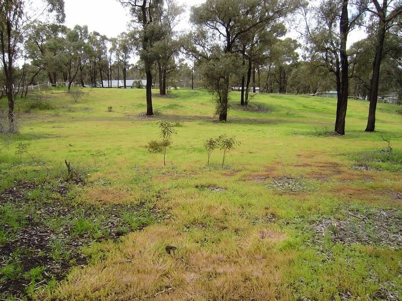 1/102 Plumridge Street, White Hills VIC 3550