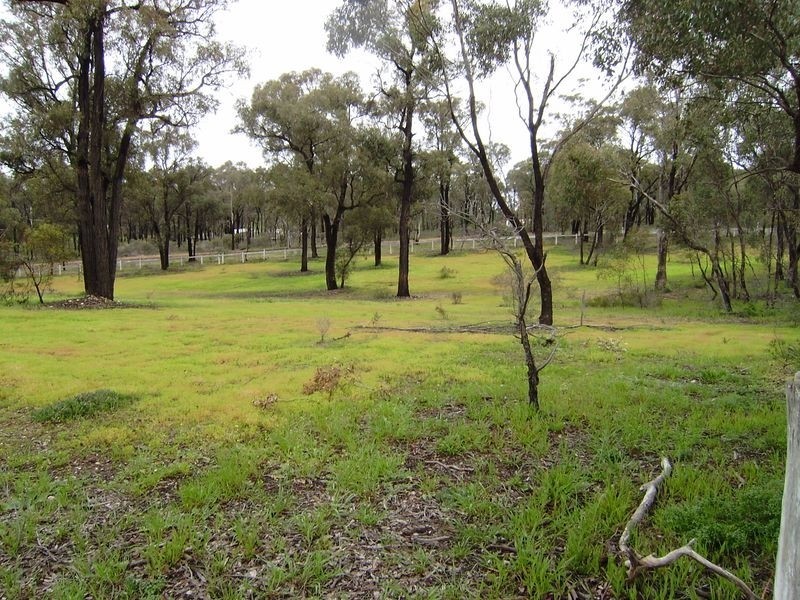 1/102 Plumridge Street, White Hills VIC 3550