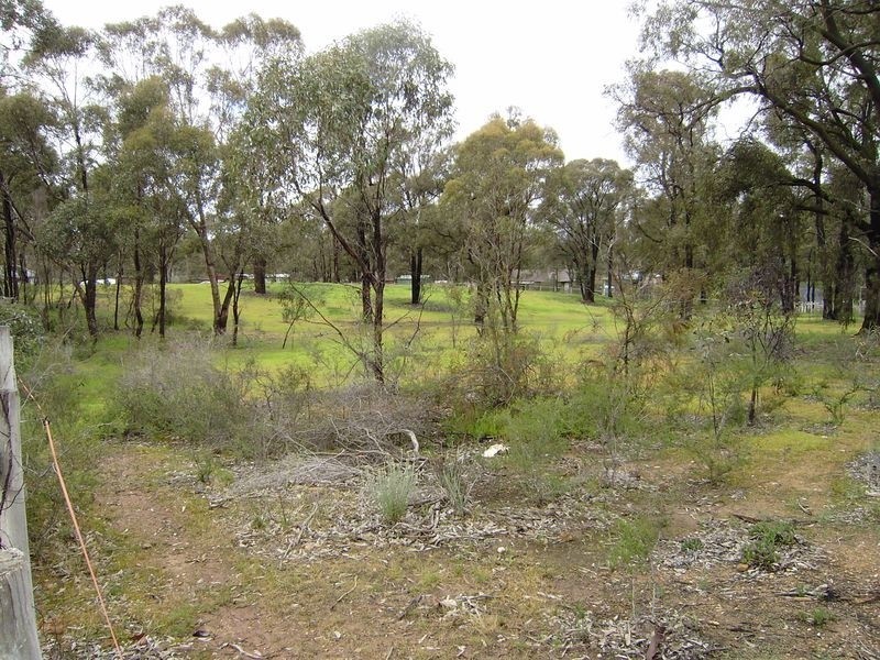 1/102 Plumridge Street, White Hills VIC 3550