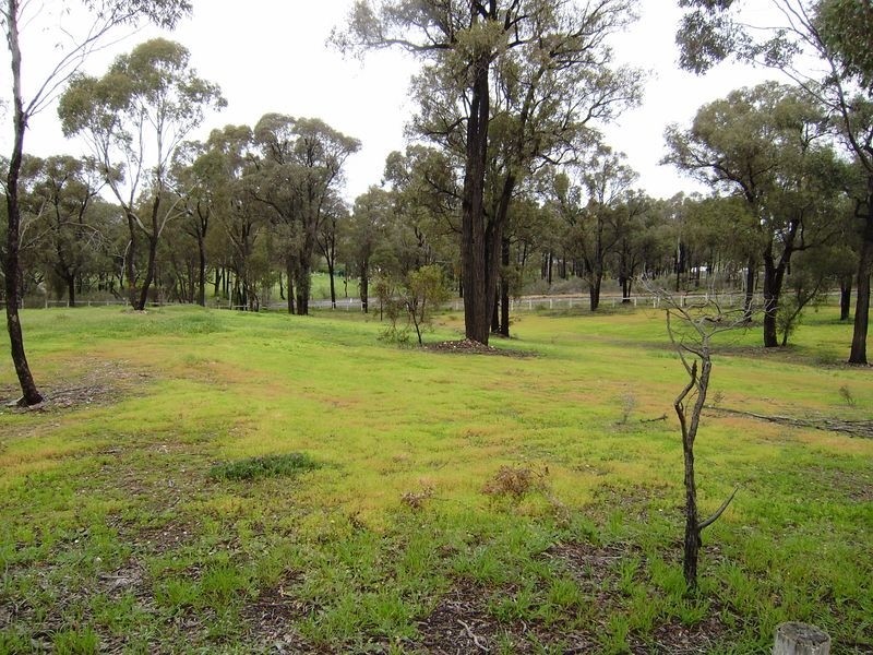 1/102 Plumridge Street, White Hills VIC 3550