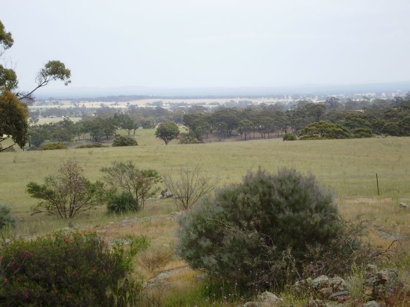 14 Casuarina Lane, Bendigo VIC 3550