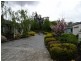3 Birch Grove, Strathdale VIC 3550