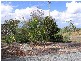 5 Discovery Drive, Cooloola Cove QLD 4580