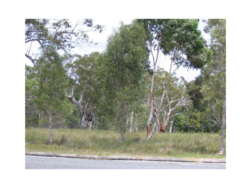 206 Queen Elizabeth Drive, Cooloola Cove QLD 4580