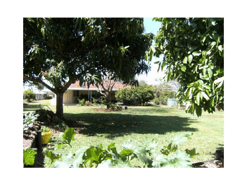 54 Investigator Avenue, Cooloola Cove QLD 4580