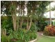 1 Aramac Court, Tin Can Bay QLD 4580