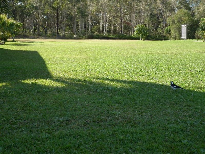 35 Golden Hind Avenue, Cooloola Cove QLD 4580
