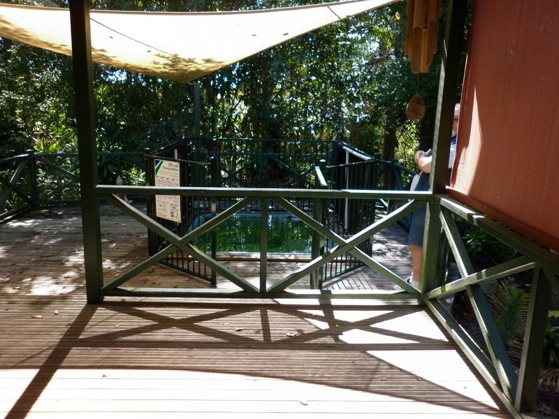 1 Mauretania Ave, Cooloola QLD 4580