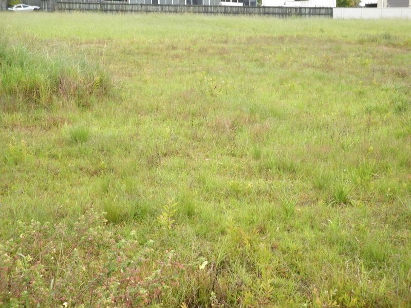 6 Roebuck st, Cooloola Cove QLD 4580