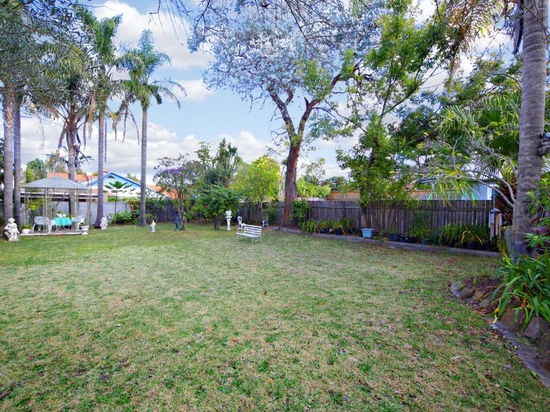 6 Alton Avenue, Concord NSW 2137
