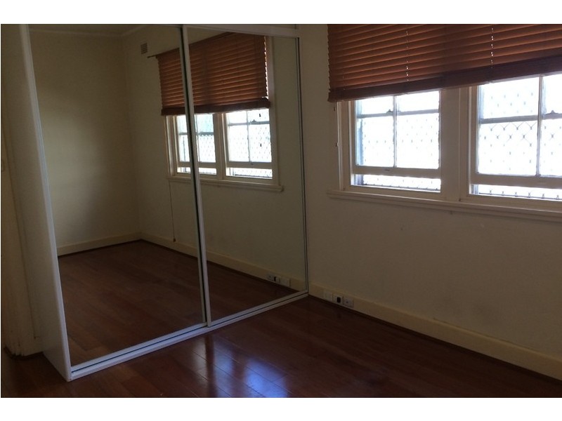 2/124 Milton Street, Ashfield NSW 2131