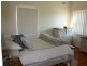 54 Correys Avenue, Concord NSW 2137