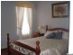 Concord NSW 2137