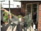 Concord West NSW 2138