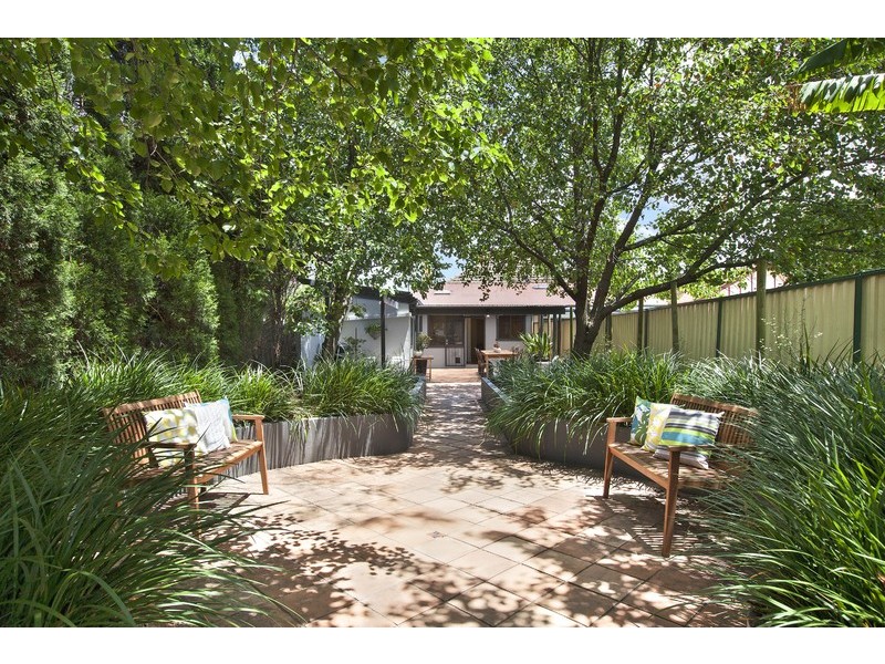 79 Frederick Street, Ashfield NSW 2131