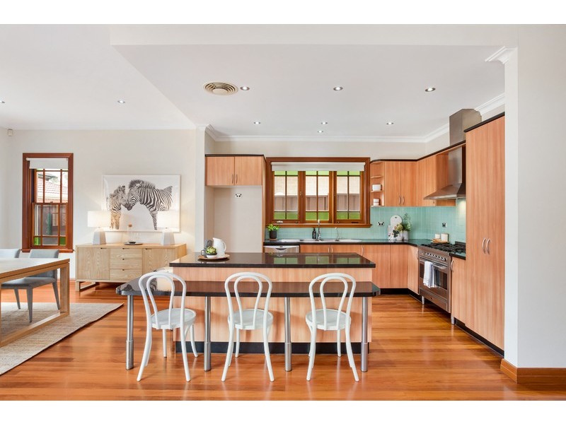 17 Coleman Avenue, Homebush NSW 2140