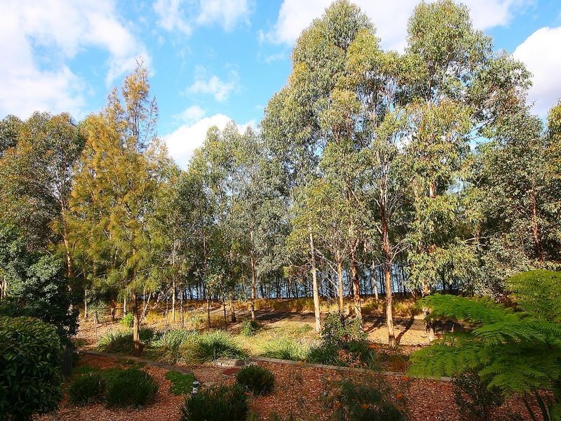 13/1 Owen Street, Newington NSW 2127