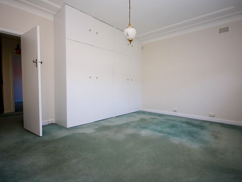 1 Meadow Street, Concord NSW 2137