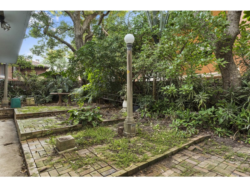 161 Frederick Street, Ashfield NSW 2131