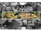 20 Vernon Street, Strathfield NSW 2135