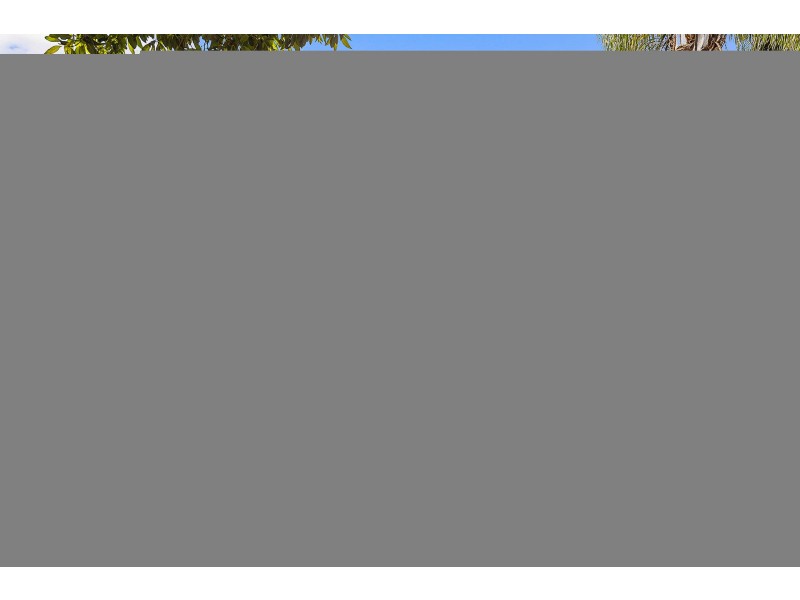 21 Coonong Road, Concord West NSW 2138