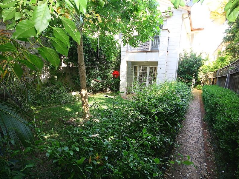 243F Burwood Road, Concord NSW 2137