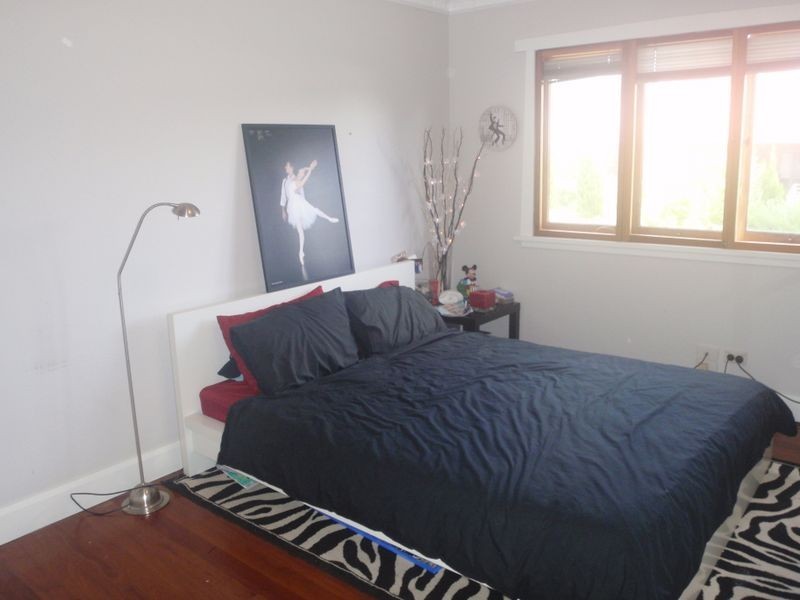 46 Macnamara Avenue, Concord NSW 2137