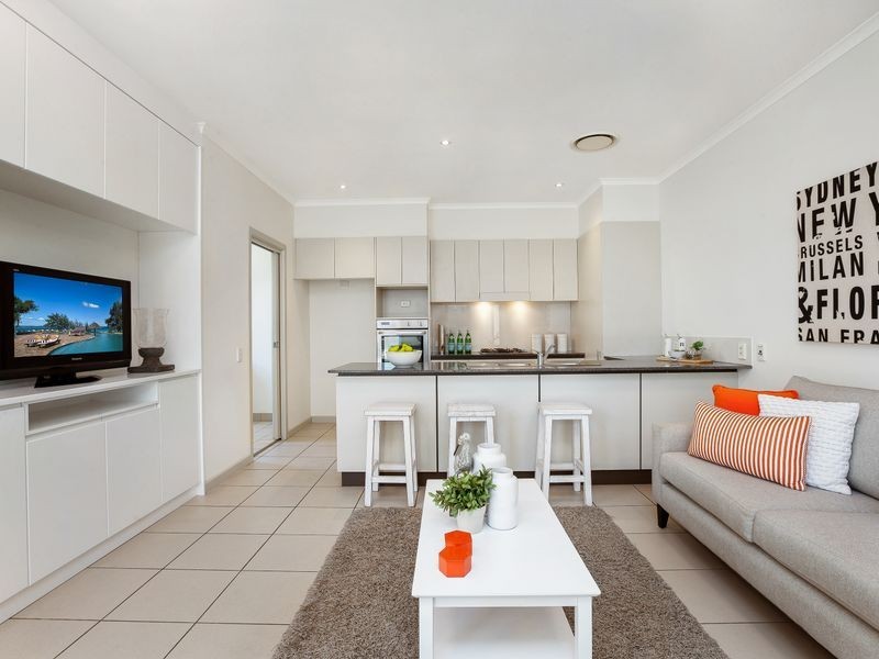 17 Thompson Avenue, Newington NSW 2127