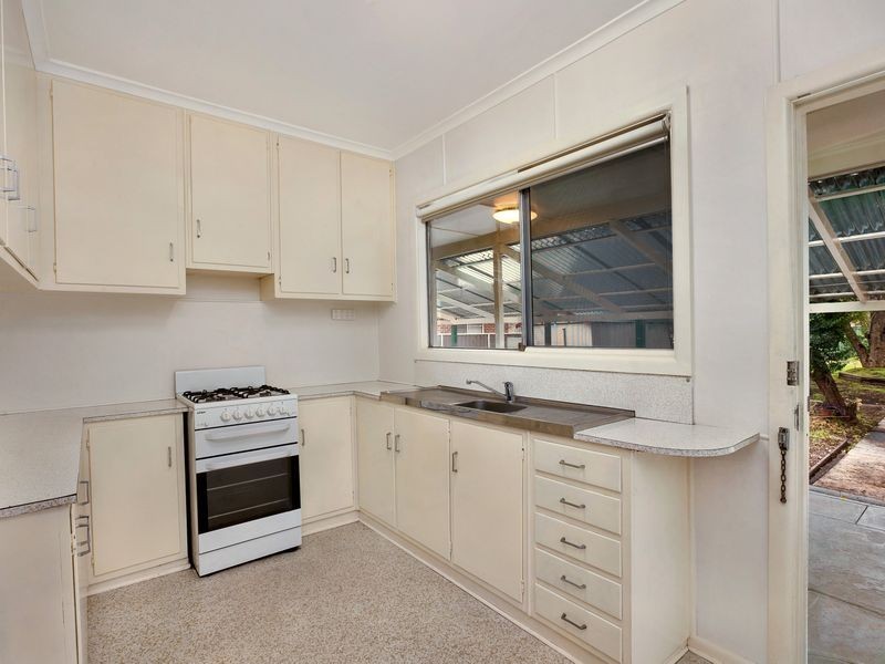 17 Ludgate Street, Concord NSW 2137