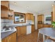 1 Meadow Street, Concord NSW 2137