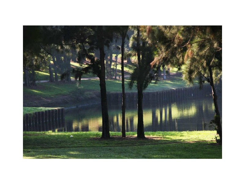 20 Close Street, Canterbury NSW 2193