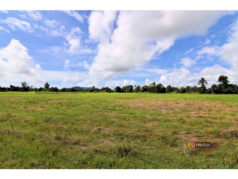 L165 Daveson Road, Daveson QLD 4855