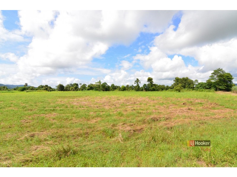 L165 Daveson Road, Daveson QLD 4855