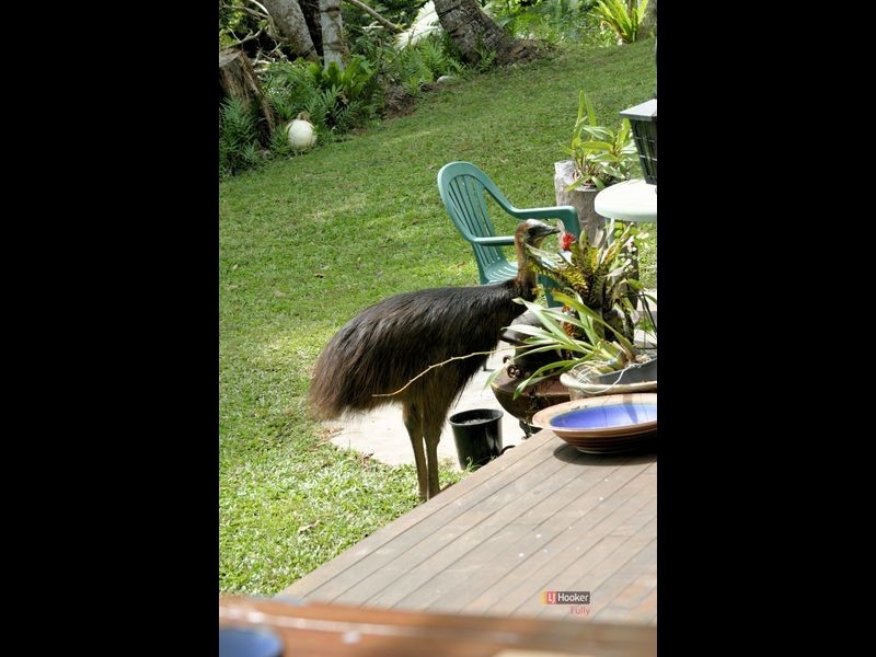 4 Garners Beach Road, Bingil Bay QLD 4852