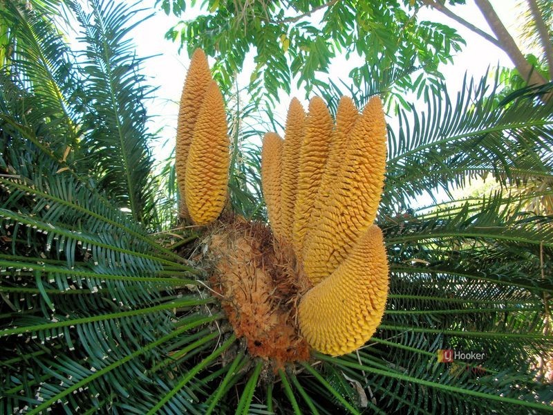 4 Garners Beach Road, Bingil Bay QLD 4852