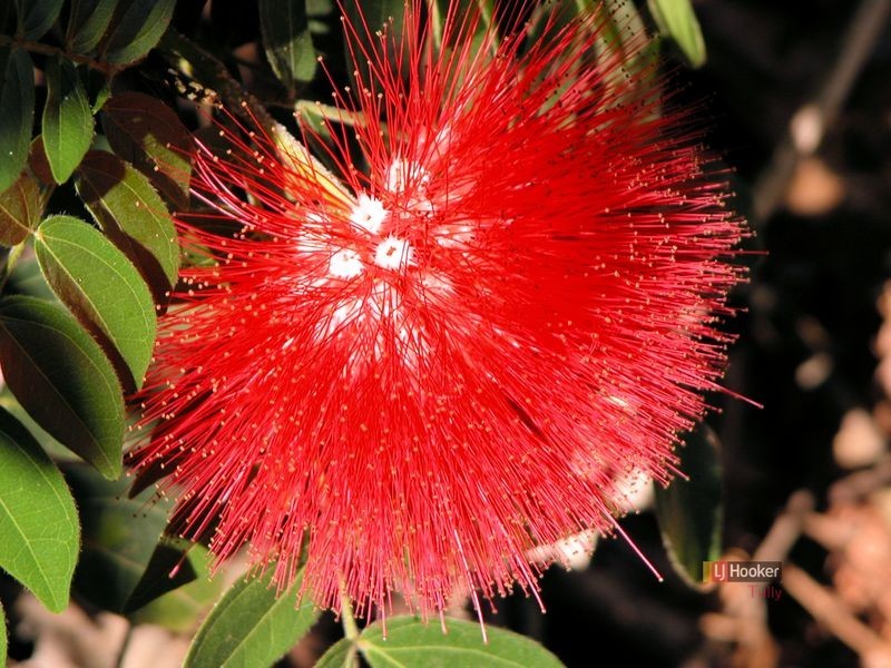 4 Garners Beach Road, Bingil Bay QLD 4852