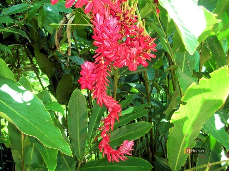 4 Garners Beach Road, Bingil Bay QLD 4852