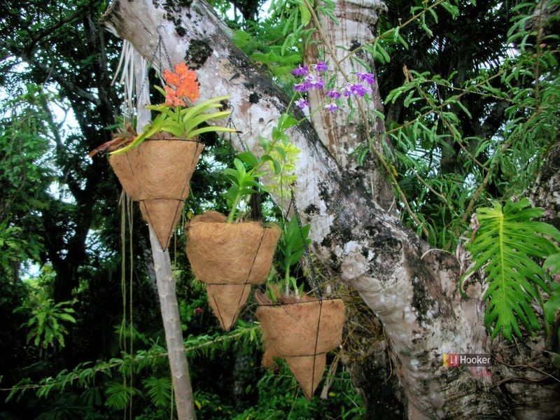 4 Garners Beach Road, Bingil Bay QLD 4852