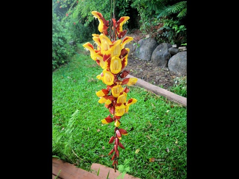 4 Garners Beach Road, Bingil Bay QLD 4852