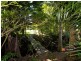 801 East Feluga Road, East Feluga QLD 4854