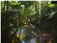 801 East Feluga Road, East Feluga QLD 4854