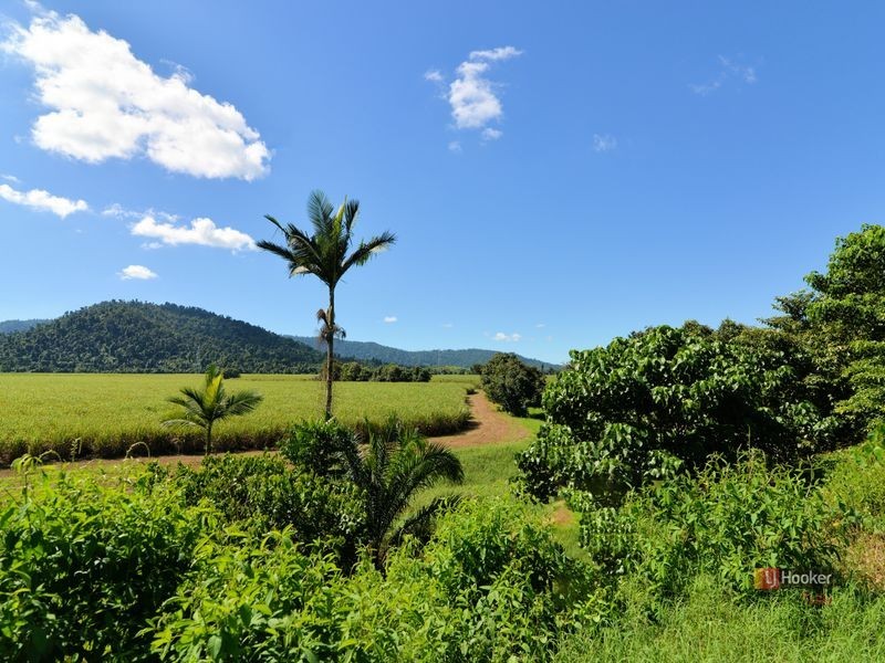 1100 Silkwood Japoon Road, Japoonvale QLD 4856