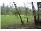 Kennedy QLD 4816