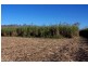 Lower Tully QLD 4854