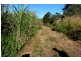 Lower Tully QLD 4854